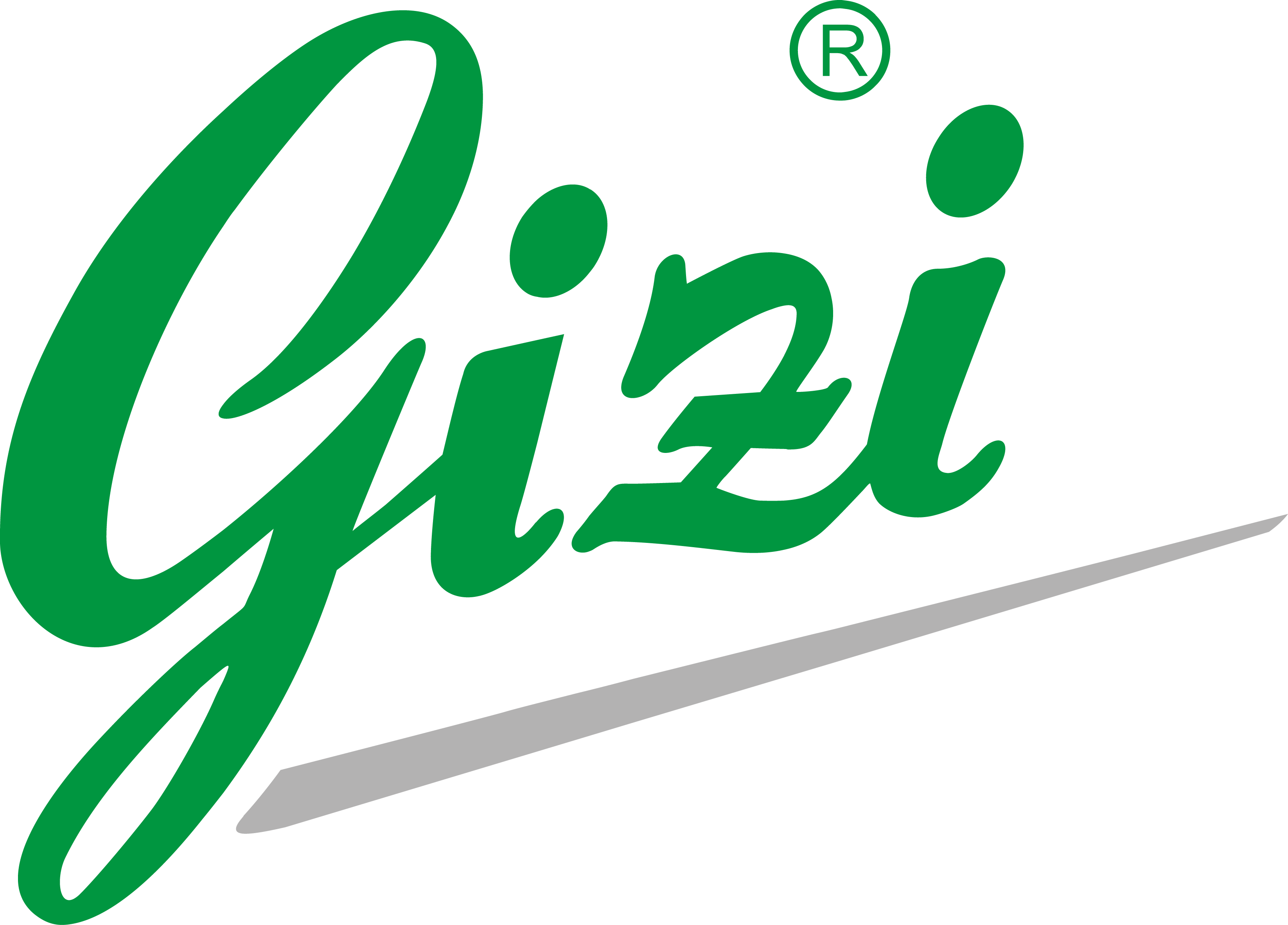 Logo Gizi